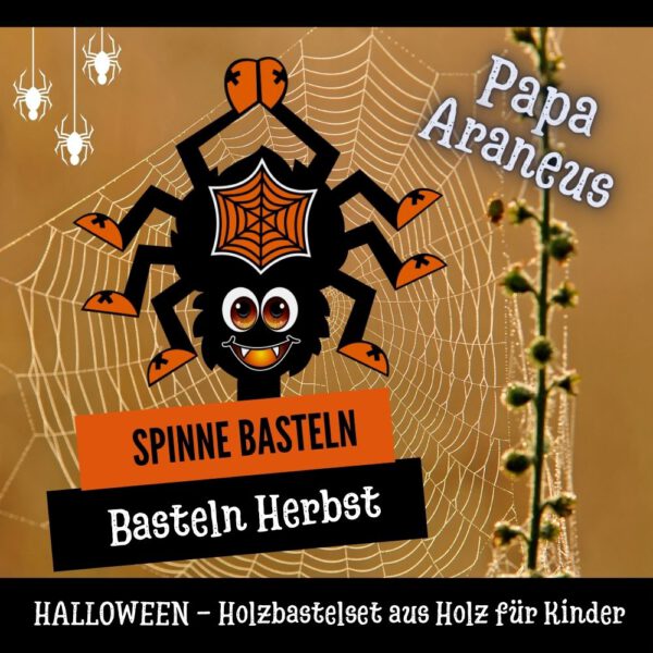 Spinne süß basteln - Holzfigur Spinne Papa Araneus
